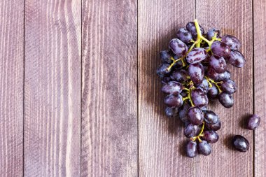 Koyu ahşap arka plan üzerinde siyah üzüm şube