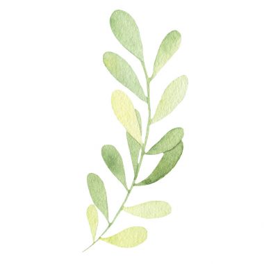 Suluboya el beyaz arka plan üzerinde izole yaprak yeşil boyalı