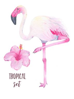 Tropikal pembe flamingo ve beyaz arka plan üzerinde izole hibiscus çiçek suluboya el boyalı