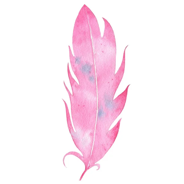 Watercolor hand drawn boho feather isolated on white background — Stock Photo, Image