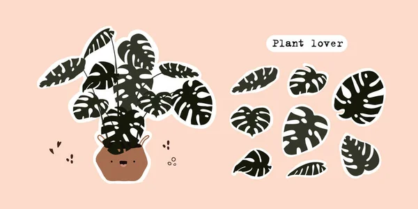 Ensemble de plante de monstère tropicale mignonne en pot feuilles de monstère isolées — Image vectorielle