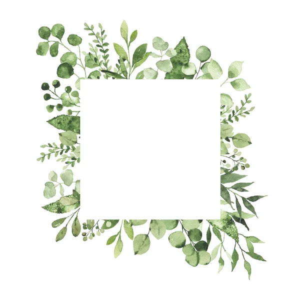 Aquarell Geometrischer Rahmen Mit Grünen Blättern Zweig Pflanze Kräuterflora Isoliert — Stockfoto