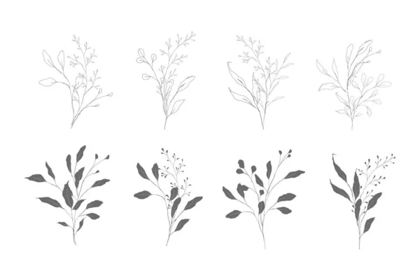 Силуэт Ботанической Линии Оставляет Карандашные Эскизы Нарисованные Вручную Изолированные Белом — стоковый вектор