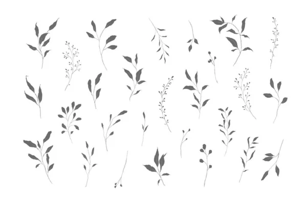 植物のシルエットは白地に孤立した手描きの鉛筆スケッチを残します 結婚式の招待状カードのための美術花のエレガントな繊細なグラフィッククリップ ベクターイラスト — ストックベクタ