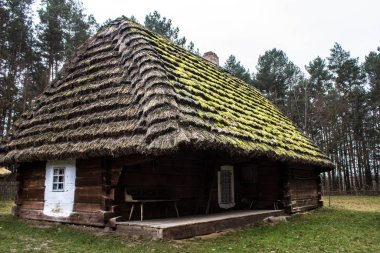 Donmuş suyun altındaki yapraklar. Yapraklardan güzel bir soyutlama. Soyutlama. Arkaplan.