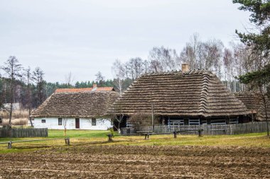 Donmuş suyun altındaki yapraklar. Yapraklardan güzel bir soyutlama. Soyutlama. Arkaplan.