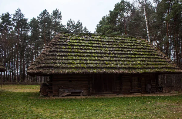 Listy Pod Zmrzlou Vodou Krásná Abstrakce Listí Abstrakce Pozadí — Stock fotografie