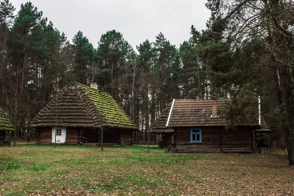 Liście Pod Zamarzniętą Wodą Piękna Abstrakcja Liści Abstrakcja Kontekst — Zdjęcie stockowe