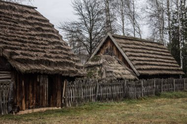 Donmuş suyun altındaki yapraklar. Yapraklardan güzel bir soyutlama. Soyutlama. Arkaplan.