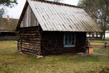 Donmuş suyun altındaki yapraklar. Yapraklardan güzel bir soyutlama. Soyutlama. Arkaplan.