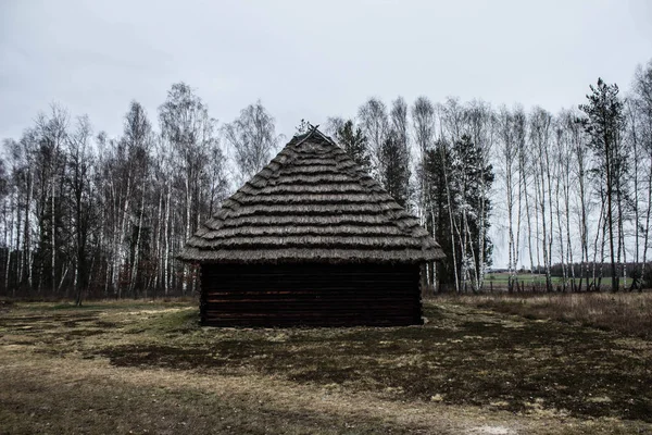 Листья Замерзшей Водой Красивая Абстракция Листьев Абстракция Фон — стоковое фото