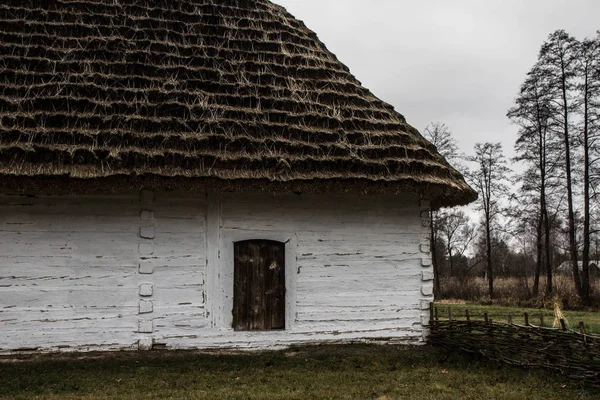 Liście Pod Zamarzniętą Wodą Piękna Abstrakcja Liści Abstrakcja Kontekst — Zdjęcie stockowe