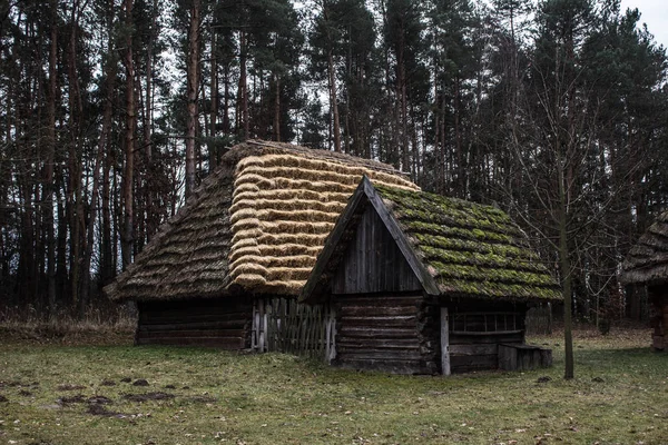 Листя Під Замерзлою Водою Прекрасна Абстракція Листя Абстракція Тло — стокове фото