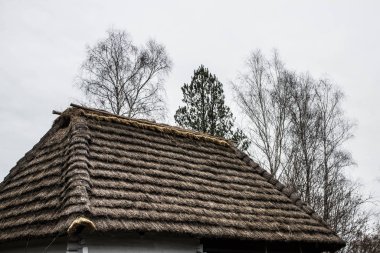 Kasvetli bir gökyüzüne karşı eski sazdan çatı. Geçmişi. Doku.