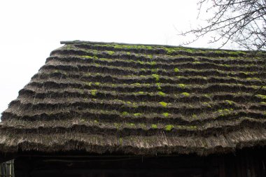 Kasvetli bir gökyüzüne karşı eski sazdan çatı. Geçmişi. Doku.