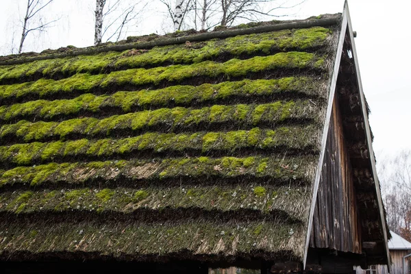 Oude Rieten Dak Tegen Een Sombere Lucht Achtergrond Textuur — Stockfoto