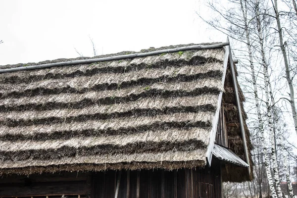 Old Thatched Roof Gloomy Sky Background Texture — Stock Photo, Image