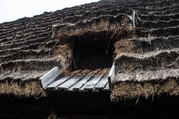 Old Thatched Roof Gloomy Sky Background Texture — 스톡 사진