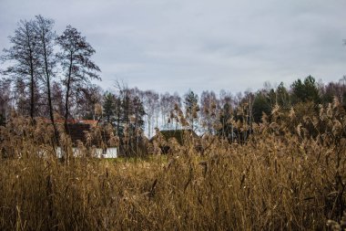 Old village, thatched-roof houses. Beautiful landscape.