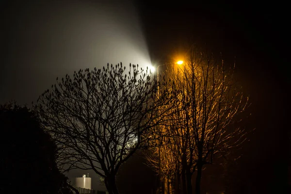 Hermoso Paisaje Nocturno Árboles Iluminados Por Linternas — Foto de Stock