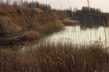 Uzun otlu güzel bir göl. Mavi sulu bir göl. Arkaplan.