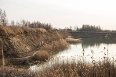 Uzun otlu güzel bir göl. Mavi sulu bir göl. Arkaplan.