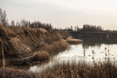 Uzun otlu güzel bir göl. Mavi sulu bir göl. Arkaplan.