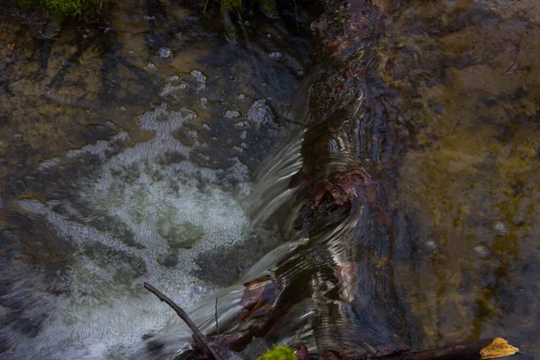 Beautiful Creek Forest Fairy Stream Background — Stock Photo, Image