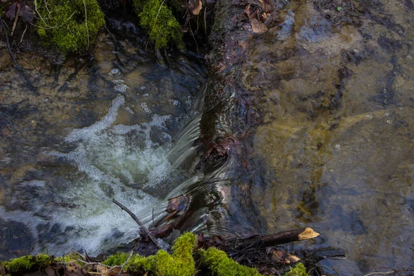 Красивый Ручей Лесу Волшебный Поток Фон — стоковое фото