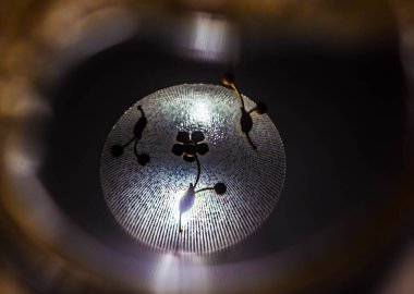 Soyut fener. Geceleri fener. Gece Arkaplanı.