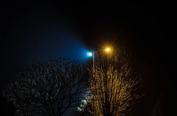 Paisaje Nocturno Árboles Iluminados Por Linternas Contexto — Foto de Stock