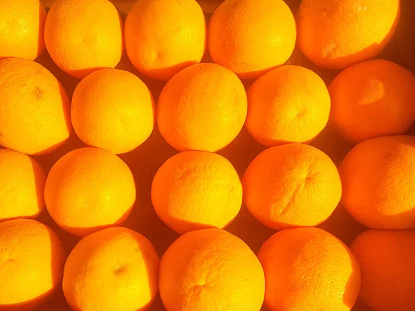 Naranjas frescas a la hora dorada . —  Fotos de Stock