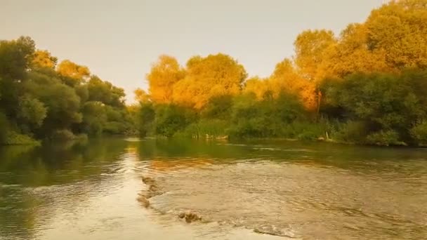 ギリシャのペロポネソス半島でパンの Alfeios 川. — ストック動画