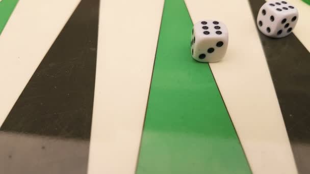Két kocka mozgás közelről Backgammon játék. — Stock videók