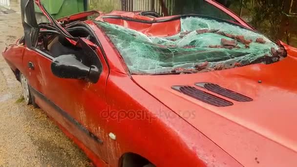 Auto Rossa Distrutta Dopo Una Tempesta Grande Albero — Video Stock