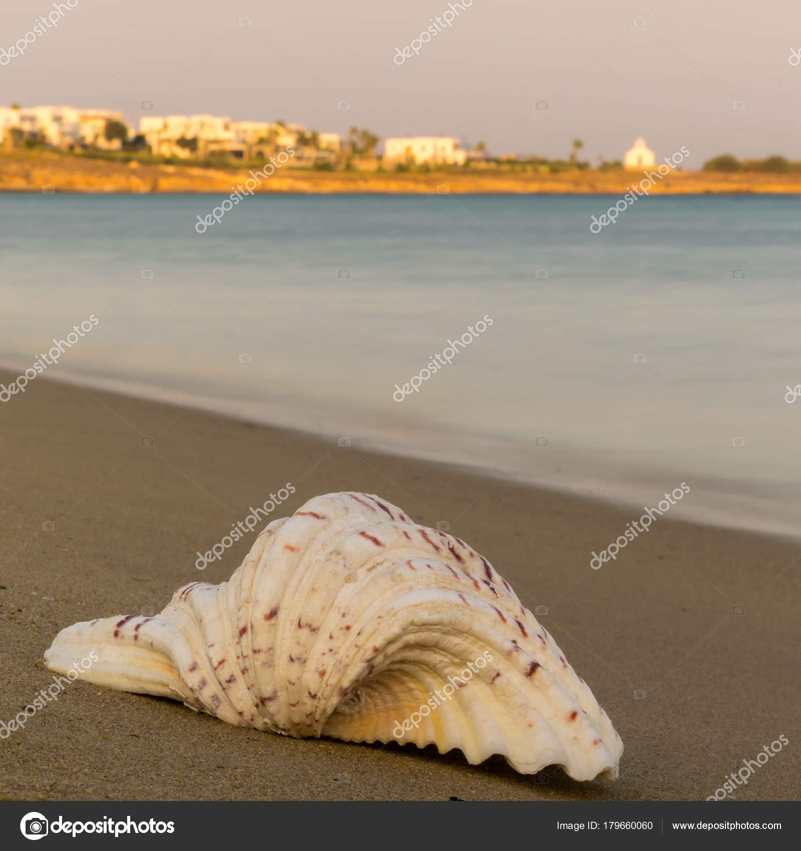 背景として海と貝殻 ストック写真 C Bilisanas