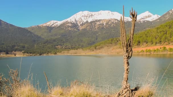 Sjön Doxa Peloponnesos Grekland — Stockvideo