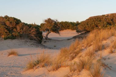 Yunanistan 'daki Simos plajında altın saat.