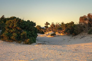 Yunanistan 'da Elafonisos' taki Simos plajı.