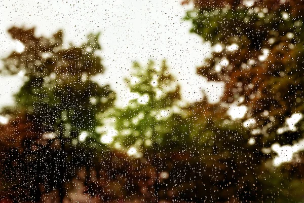 Капли дождя на окно — стоковое фото
