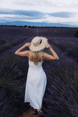 Fransa 'da lavanta tarlasında bir kız