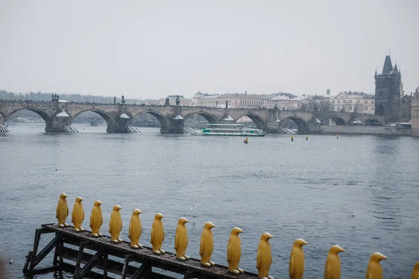 Blick Vom Fluss Auf Die Karlsbrücke Schnee Pinguine Auf Der — Stockfoto