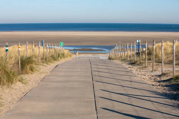 Gerilla örgüsüyle sahile giden yol.