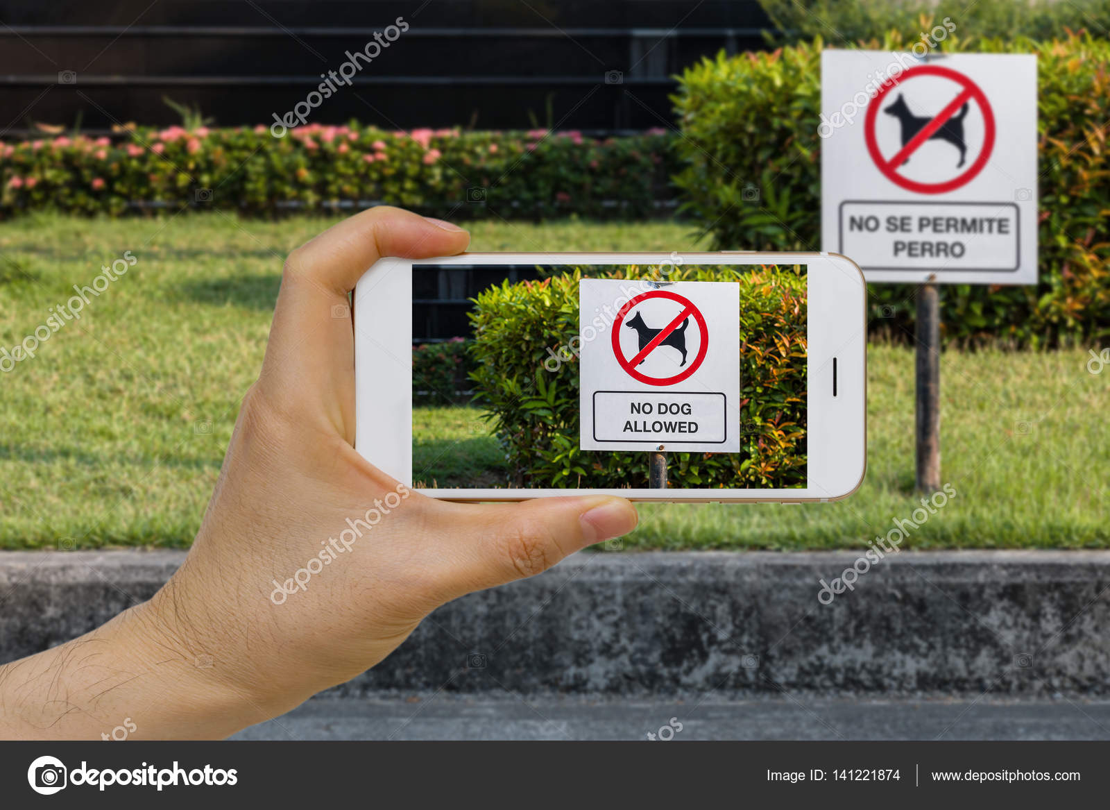 Real time Language Translation Augmented Reality, AR, App Concept Using