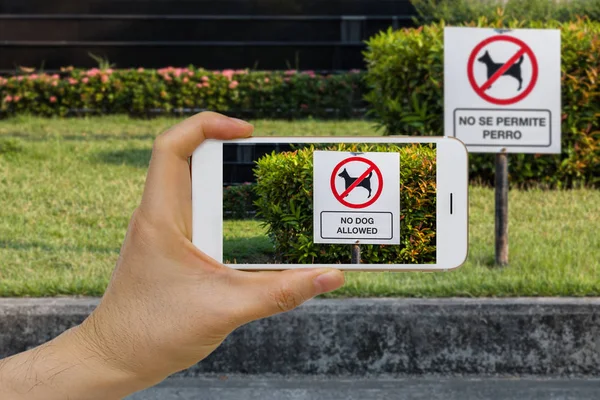 Czasie rzeczywistym język tłumaczenia Augmented Reality, Ar, aplikacja koncepcji przy użyciu Smartphone Iot do przetłumaczenia tekstu na znak z hiszpańskiego na angielski — Zdjęcie stockowe