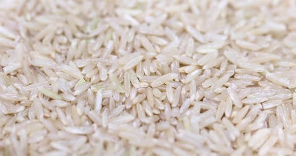 Ham kahverengi pirinç, makro çekim döndürme — Stok video