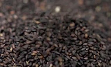 Siyah susam dökme, makro çekim