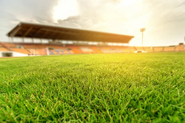 Green grass in soccer stadium with light flare. — Stock Photo, Image