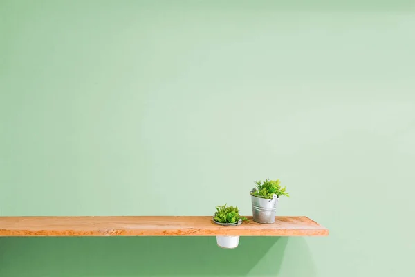 Wooden shelf on green vintage wall with plant. — Stock Photo, Image