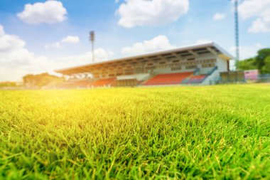Green grass in soccer stadium with light flare. clipart